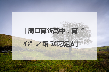 周口育新高中：育“心”之路 繁花绽放