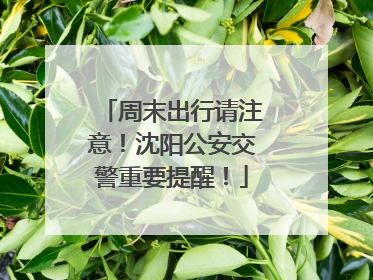 周末出行请注意！沈阳公安交警重要提醒！