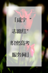 咸宁“志愿红”织密高考服务网