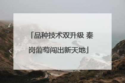 品种技术双升级 秦岗葡萄闯出新天地