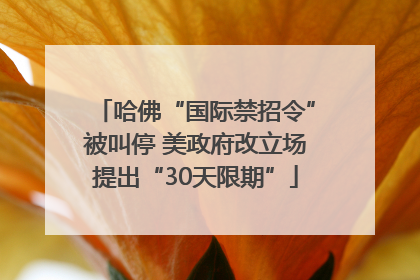 哈佛“国际禁招令”被叫停 美政府改立场提出“30天限期”