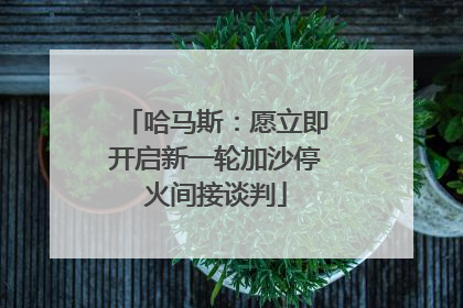 哈马斯：愿立即开启新一轮加沙停火间接谈判