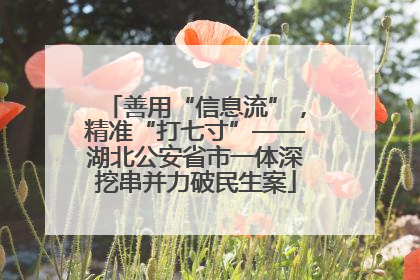 善用“信息流”，精准“打七寸”——湖北公安省市一体深挖串并力破民生案