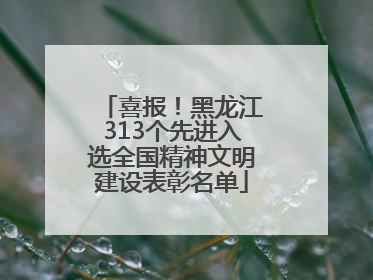 喜报！黑龙江313个先进入选全国精神文明建设表彰名单