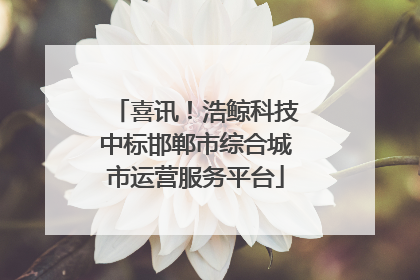 喜讯！浩鲸科技中标邯郸市综合城市运营服务平台
