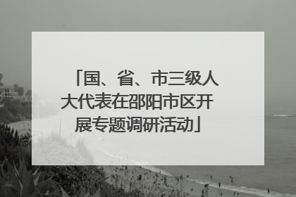 国、省、市三级人大代表在邵阳市区开展专题调研活动