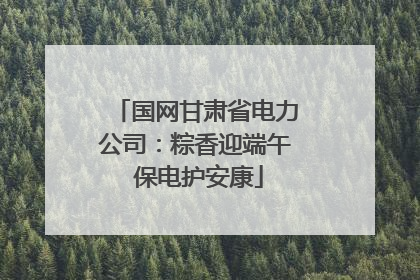 国网甘肃省电力公司：粽香迎端午 保电护安康