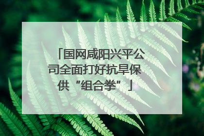 国网咸阳兴平公司全面打好抗旱保供“组合拳”