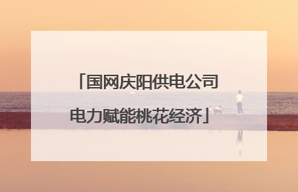 国网庆阳供电公司电力赋能桃花经济