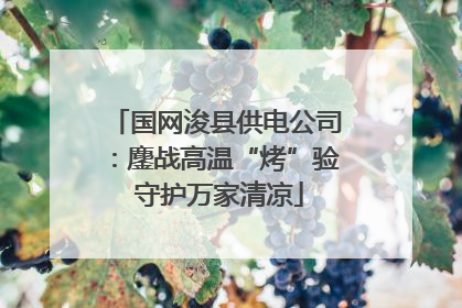国网浚县供电公司：鏖战高温“烤”验 守护万家清凉