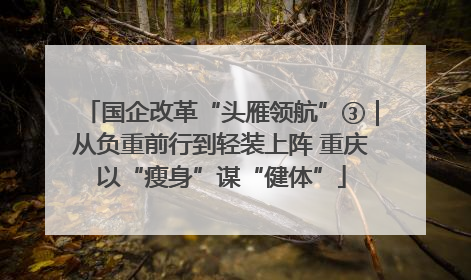 国企改革“头雁领航”③｜从负重前行到轻装上阵 重庆以“瘦身”谋“健体”