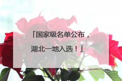 国家级名单公布，湖北一地入选！