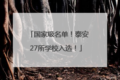 国家级名单！泰安27所学校入选！