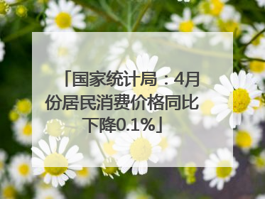 国家统计局：4月份居民消费价格同比下降0.1%