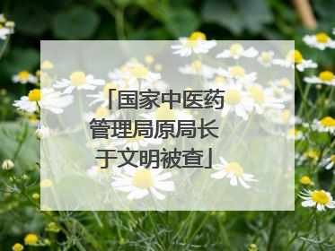 国家中医药管理局原局长于文明被查