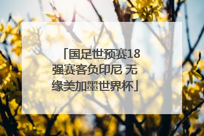 国足世预赛18强赛客负印尼 无缘美加墨世界杯