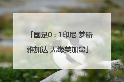 国足0∶1印尼 梦断雅加达 无缘美加墨