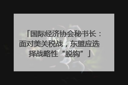 国际经济协会秘书长：面对美关税战，东盟应选择战略性“脱钩”