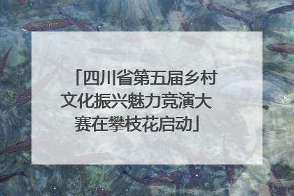 四川省第五届乡村文化振兴魅力竞演大赛在攀枝花启动