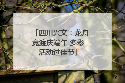 四川兴文：龙舟竞渡庆端午 多彩活动过佳节