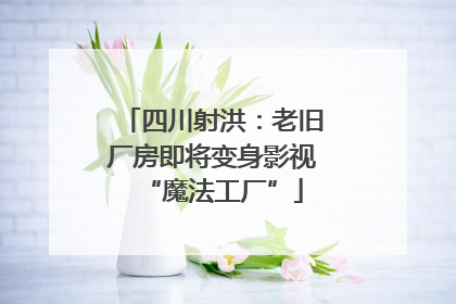四川射洪：老旧厂房即将变身影视“魔法工厂”