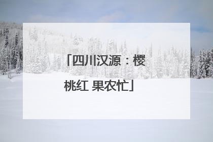 四川汉源：樱桃红 果农忙