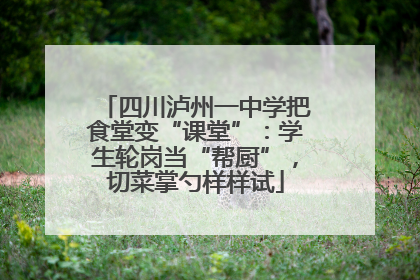 四川泸州一中学把食堂变“课堂”：学生轮岗当“帮厨”，切菜掌勺样样试