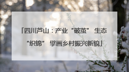 四川芦山：产业“破茧” 生态“织锦” 擘画乡村振兴新貌