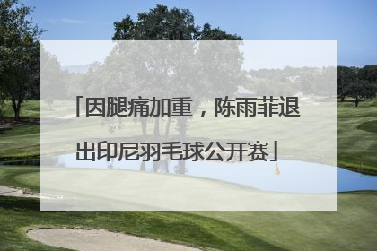 因腿痛加重，陈雨菲退出印尼羽毛球公开赛