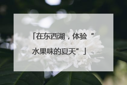 在东西湖，体验“水果味的夏天”