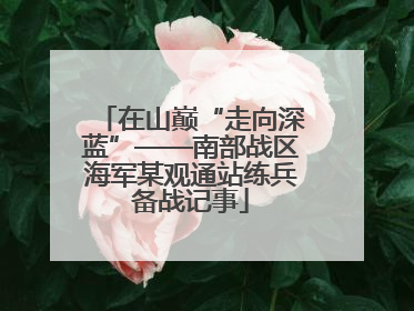在山巅“走向深蓝”——南部战区海军某观通站练兵备战记事