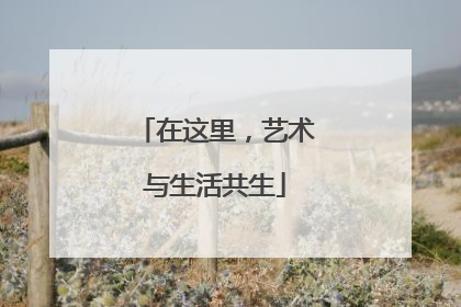 在这里，艺术与生活共生