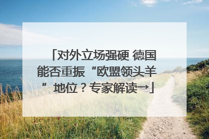 对外立场强硬 德国能否重振“欧盟领头羊”地位？专家解读→