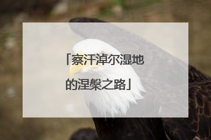 察汗淖尔湿地的涅槃之路