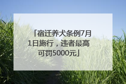 宿迁养犬条例7月1日施行，违者最高可罚5000元