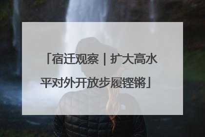 宿迁观察｜扩大高水平对外开放步履铿锵