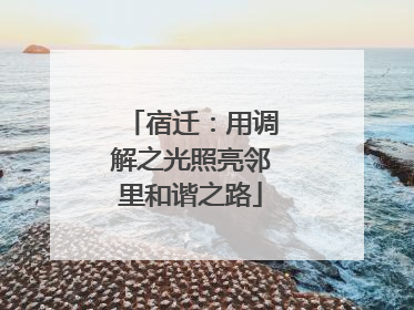 宿迁：用调解之光照亮邻里和谐之路