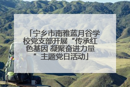 宁乡市南雅蓝月谷学校党支部开展“传承红色基因 凝聚奋进力量”主题党日活动