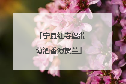 宁夏红寺堡葡萄酒香漫贺兰