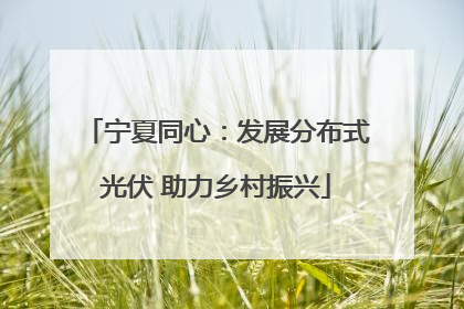 宁夏同心：发展分布式光伏 助力乡村振兴