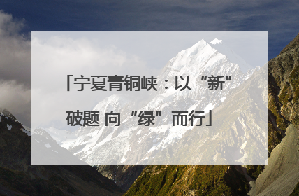 宁夏青铜峡：以“新”破题 向“绿”而行