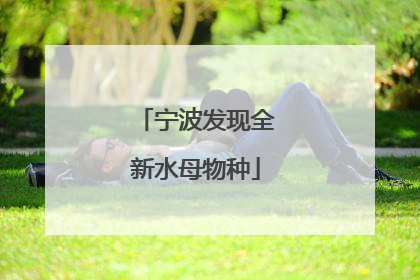 宁波发现全新水母物种