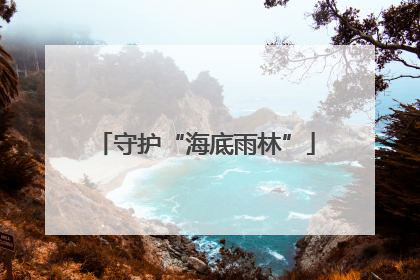 守护“海底雨林”
