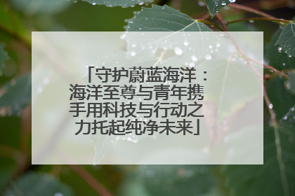 守护蔚蓝海洋：海洋至尊与青年携手用科技与行动之力托起纯净未来
