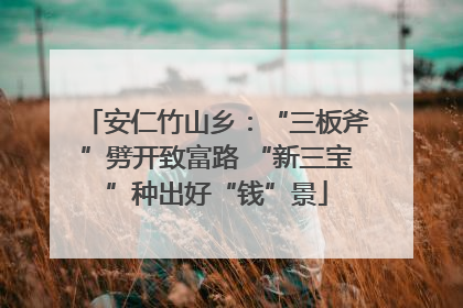 安仁竹山乡：“三板斧”劈开致富路 “新三宝”种出好“钱”景