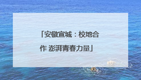 安徽宣城：校地合作 澎湃青春力量