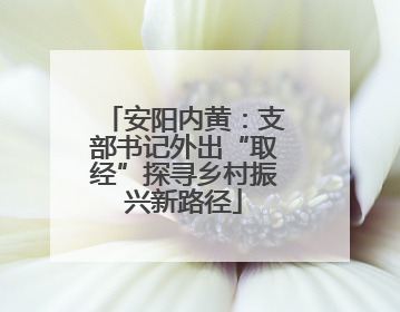 安阳内黄：支部书记外出“取经”探寻乡村振兴新路径