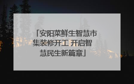 安阳菜鲜生智慧市集装修开工 开启智慧民生新篇章