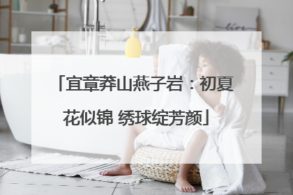 宜章莽山燕子岩：初夏花似锦 绣球绽芳颜