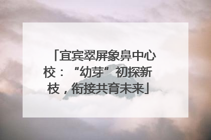 宜宾翠屏象鼻中心校：“幼芽”初探新枝，衔接共育未来